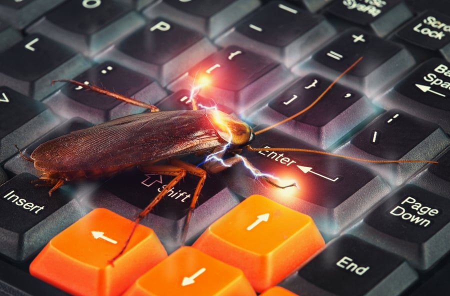 Cockroach Climbing On Keyboard