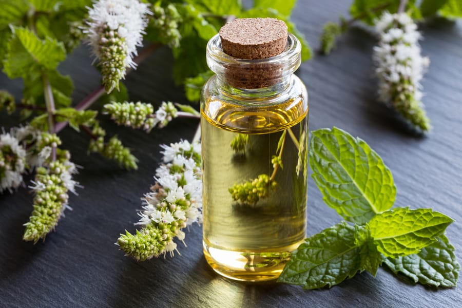 A Bottle Of Peppermint Essential Oil With Fresh Peppermint Leaves And Flowers