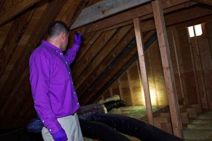 A Man In Purple Shirt Inspecting Attic Via Torch