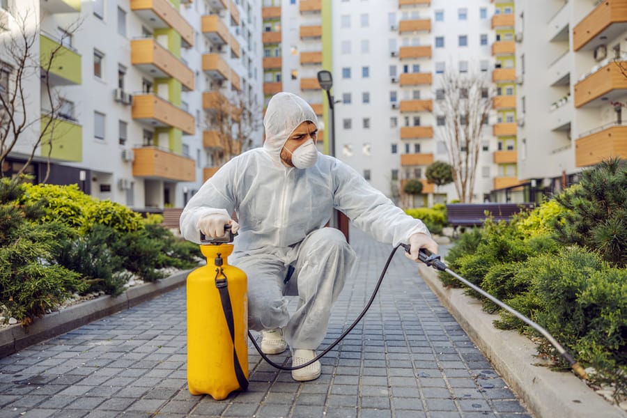 A Pest Exterminator In A Residential Building