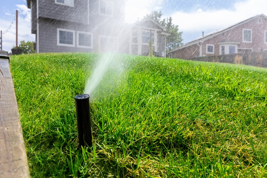 A Rainbird Irrigation And Sprinkler System Is Turned On In A Backyard