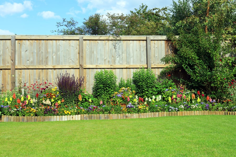 A Well-Maintained Garden With Fence