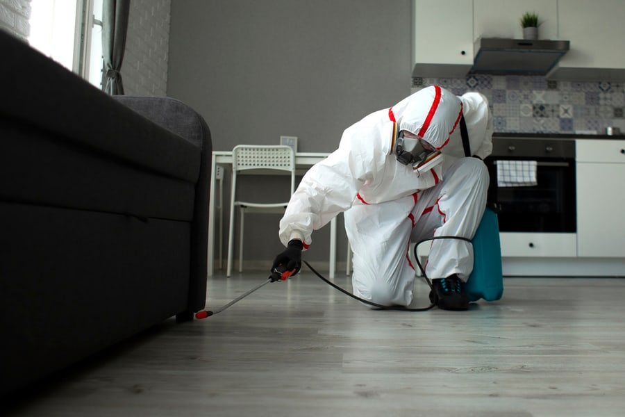 A Worker In A Protective Suit Cleans The Room From Cockroaches And Rats With A Spray Gun, The Sanitary Service Disinfects The Apartment With A Chemical Agent