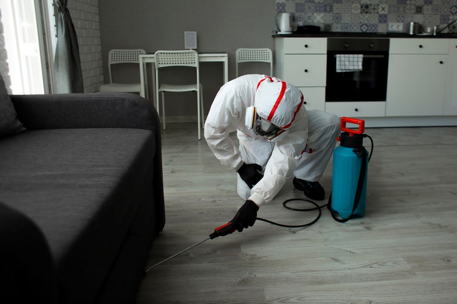 A Worker In A Protective Suit Cleans The Room From Cockroaches And Rats With A Spray Gun