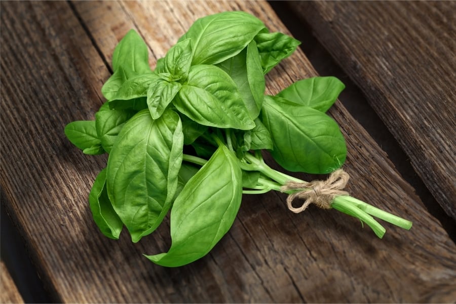 Basil On Wood