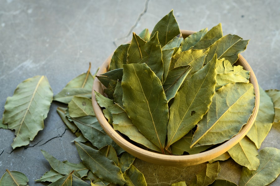 Bay Leaves In A Clay Dish On A Concrete Workto