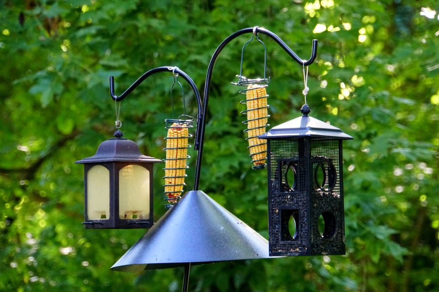 Bird Feeder With Squirrel Baffle