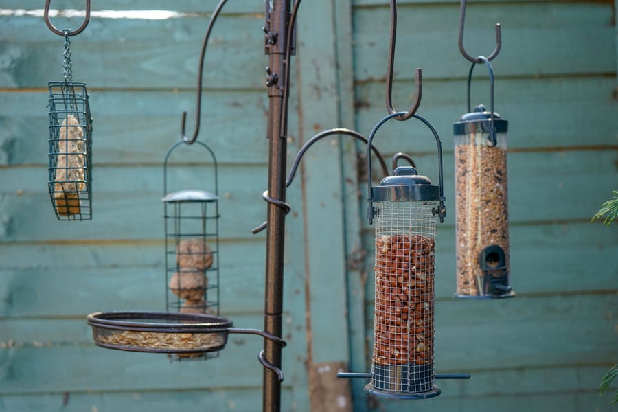 Bird Feeders