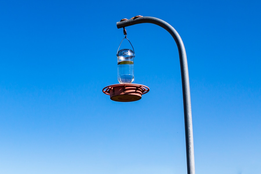 Birds Feeder On A Pole