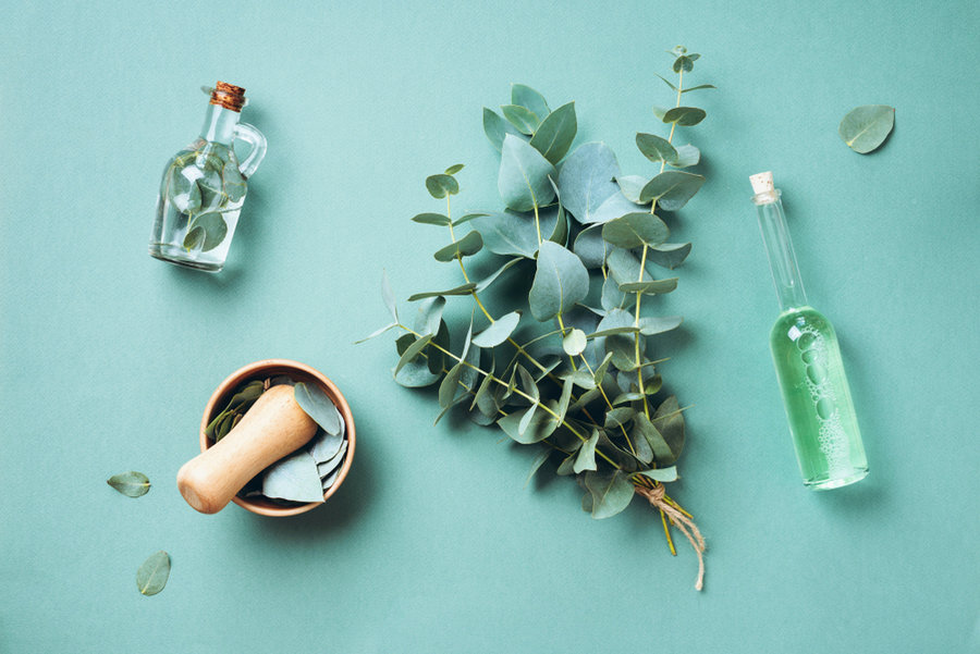 Bottles Of Eucalyptus Essential Oil, Mortar And Bunch Of Fresh Eucalyptus Branches