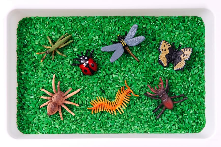 Bugs And Toy Insects With Green Colored Rice In The Sensory Box