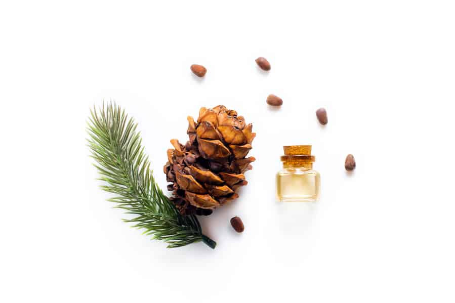 Cedar Oil Bottles With Pine Oil And Pine Nuts, Isolated On A White Background