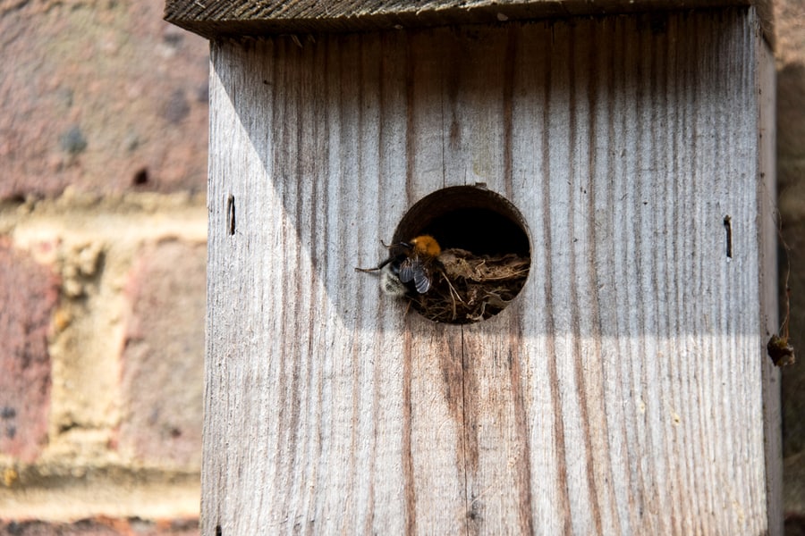 Change The Nest Position