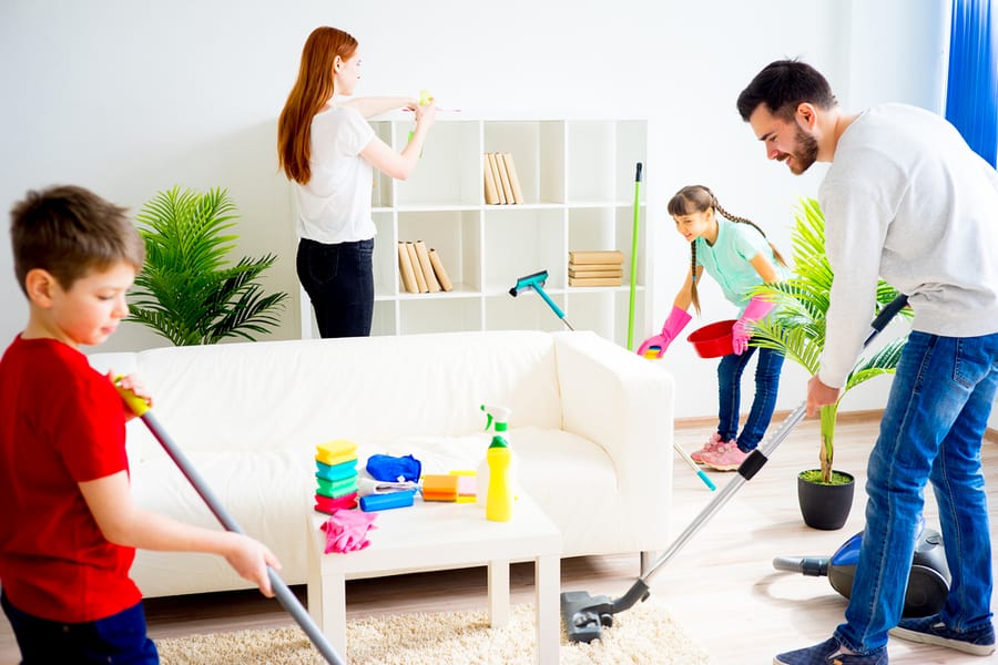 Clean Your House Regularly