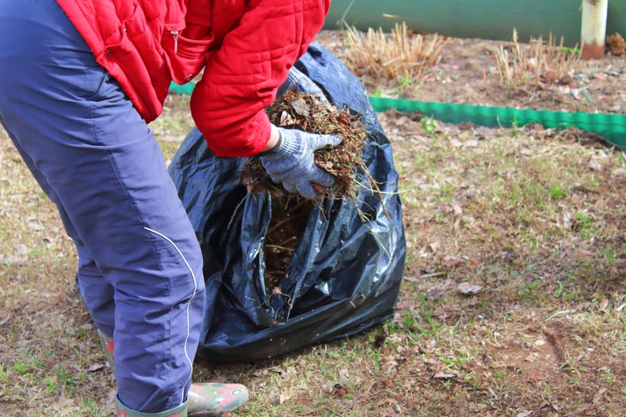 Cleaning The Area From Dry Leaves And Grass.