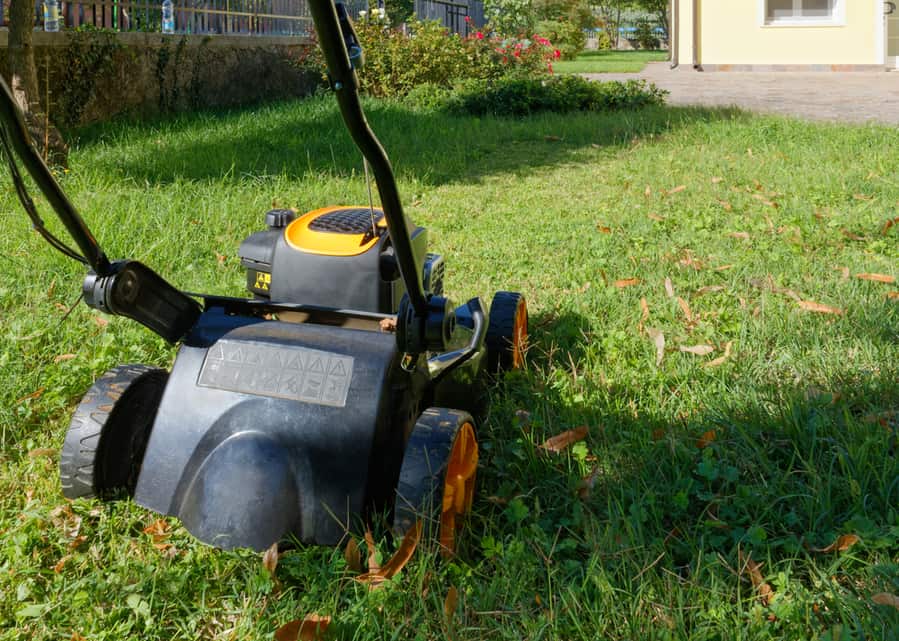 Close-Up Of A Lawnmower In A Home Garden Having Just Cut A Line Of Grass