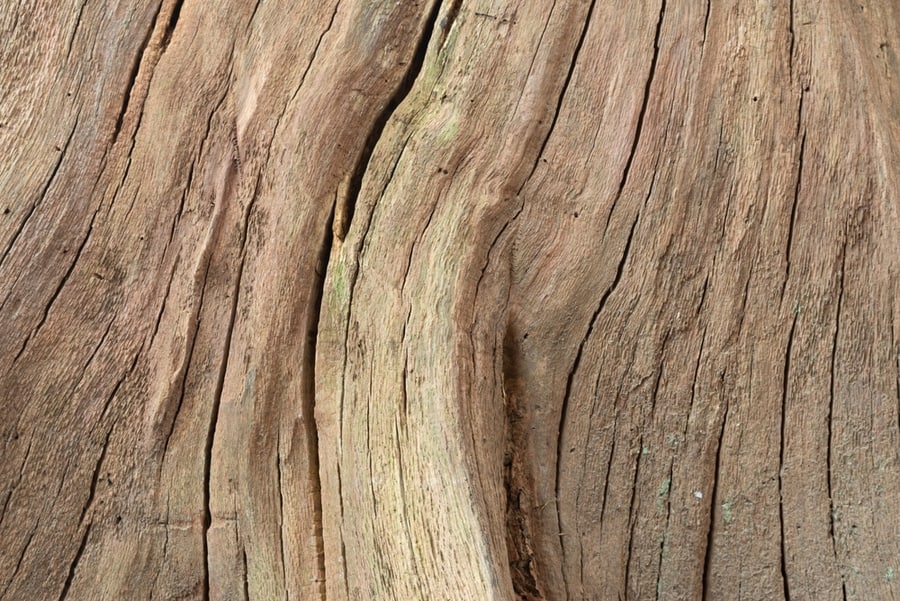 Close Up Texture Old And Weathered Wood