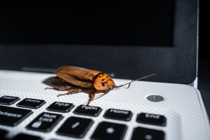 Cockroach On Keyboard Laptop Or Notebook Computer Background Close Up Top View