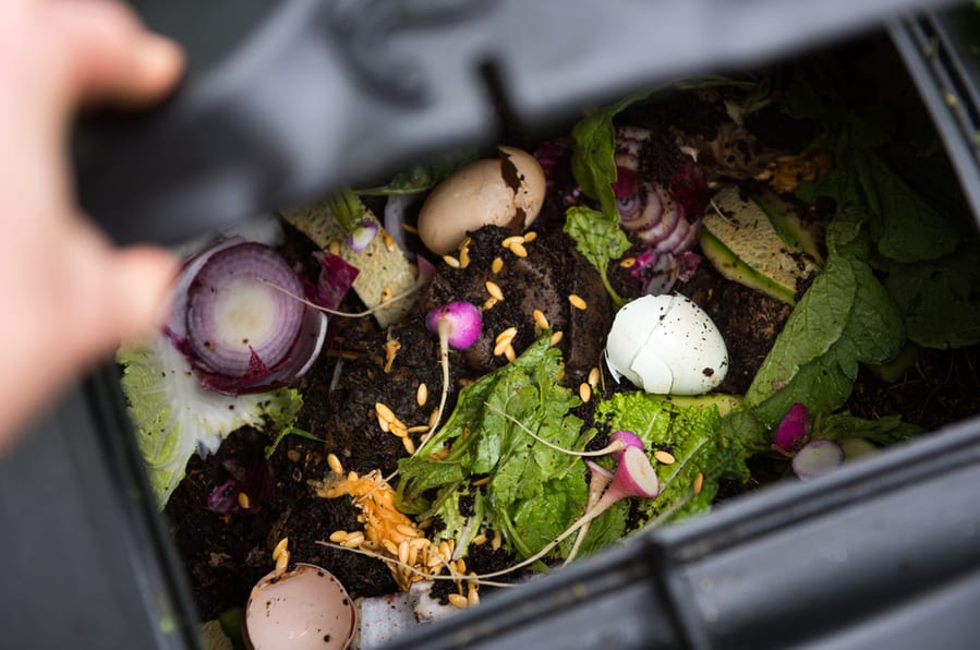 Compost Bin With A Lid