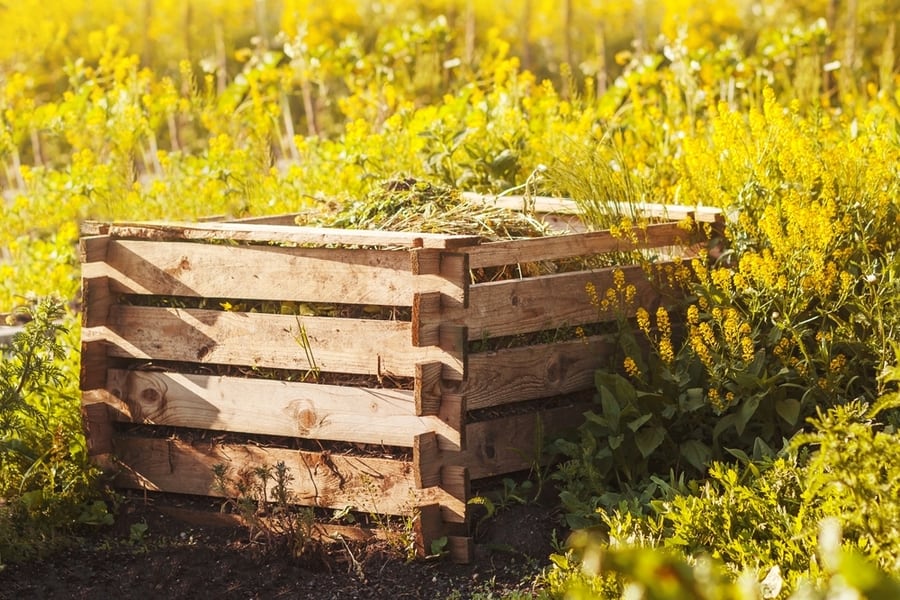 Compost Box Garden