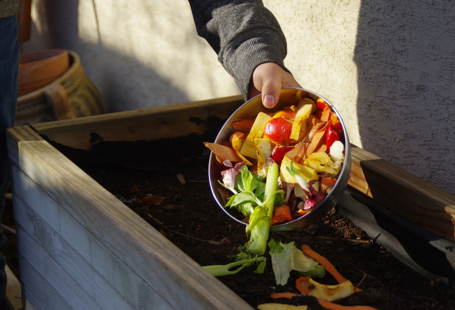 Compost Pile In A Freezing Temperature