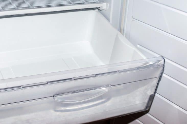 How To Keep Gnats Out Of Fridge | BeatPests