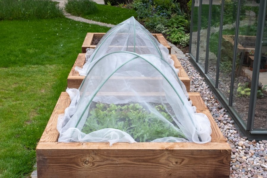 Covered Raised Garden Beds