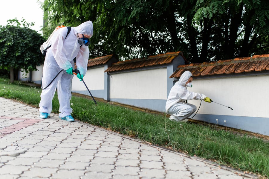 Cyfluthrin Outdoor Pest Control