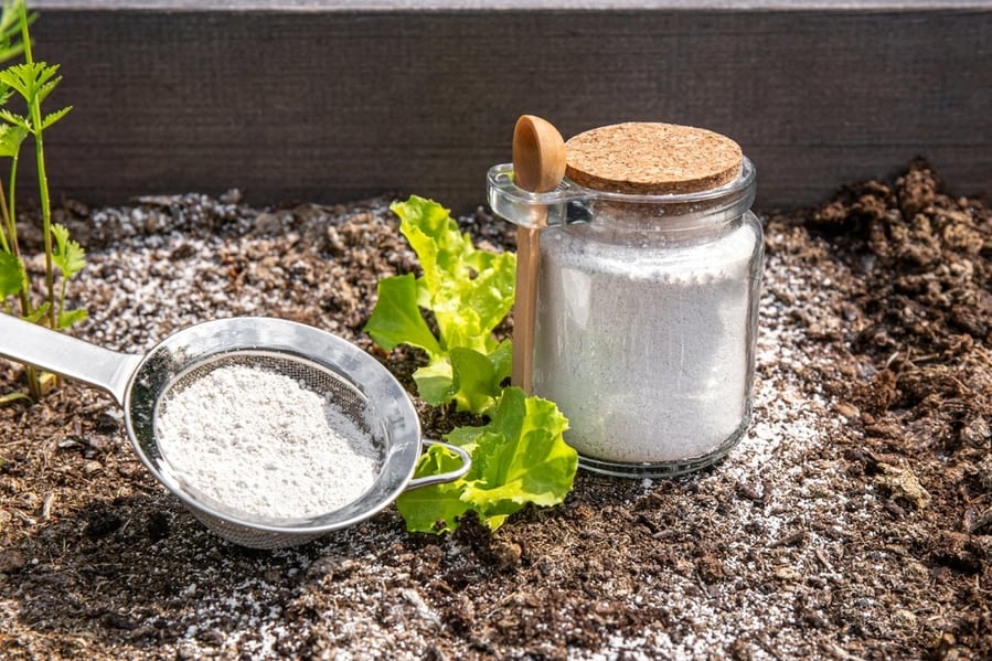 Diatomaceous Earth