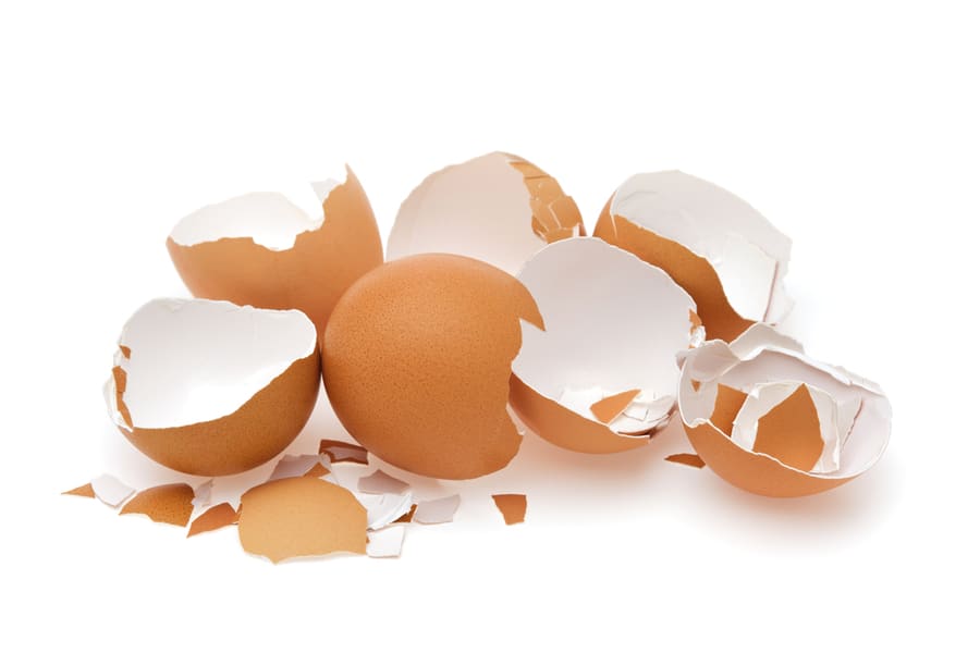 Egg Shells Isolated In White Background