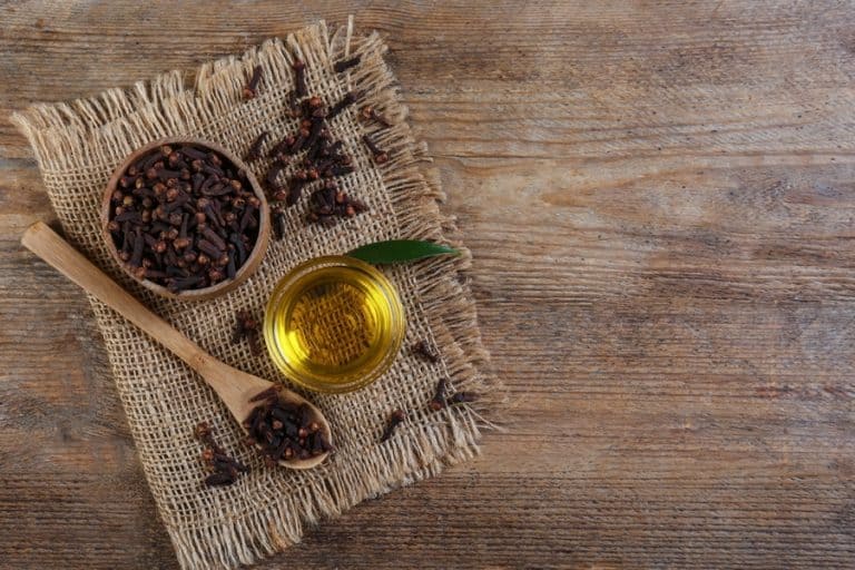 10 Smells That Will Keep Bats Away BeatPests