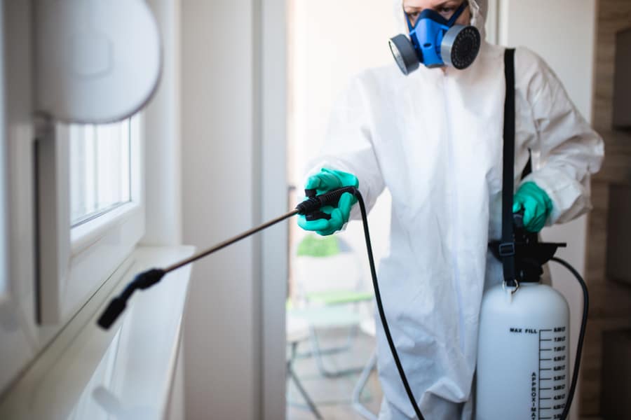 Exterminator Spraying