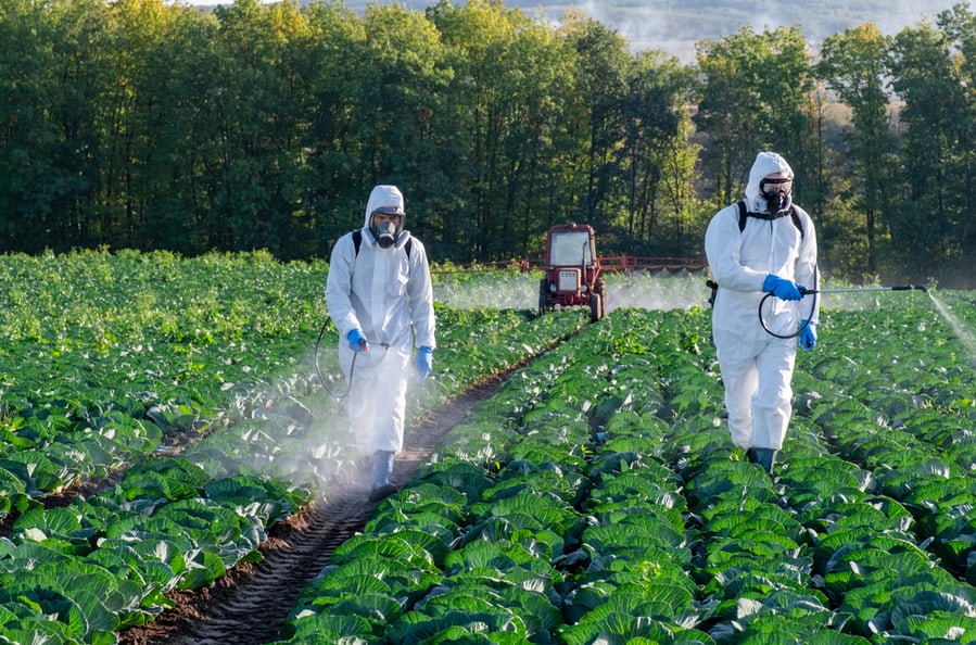 Exterminators Spraying Pesticide