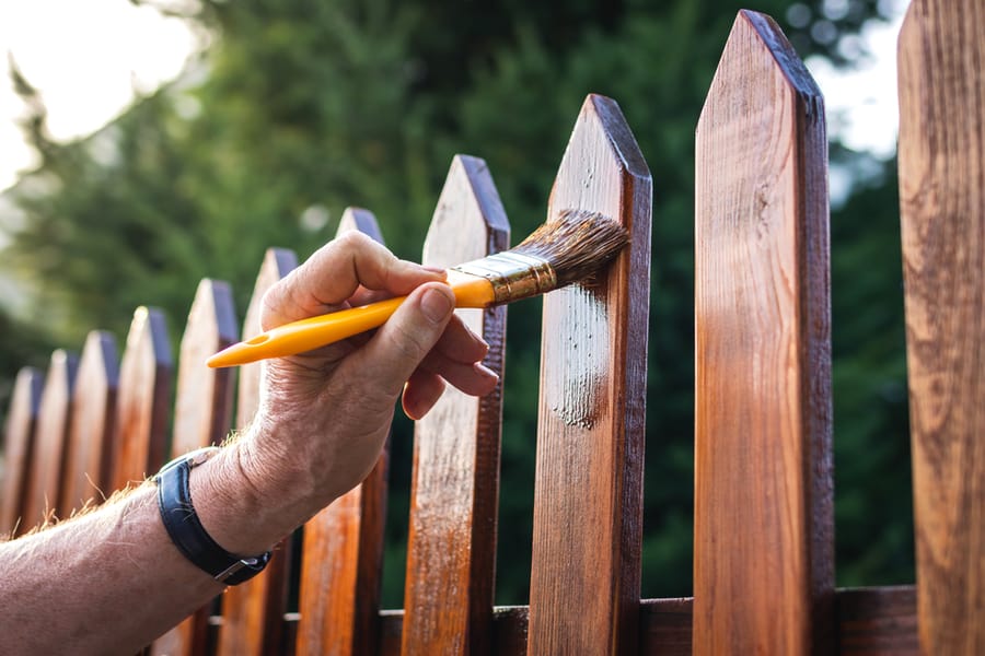 Fresh Coat Of Wood Paint Can Protect It From Woodpeckers