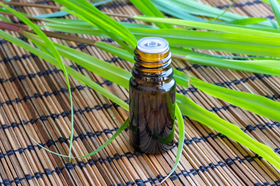 Fresh Lemon Grass Oil