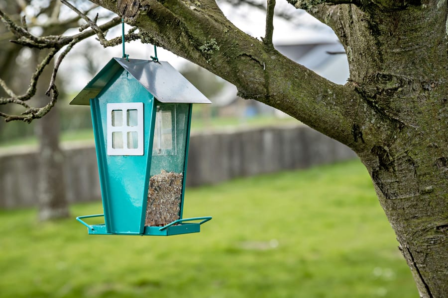 Garden Bird Feeder With Seeds