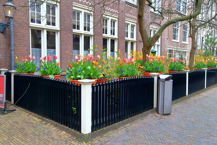 Garden With Fence