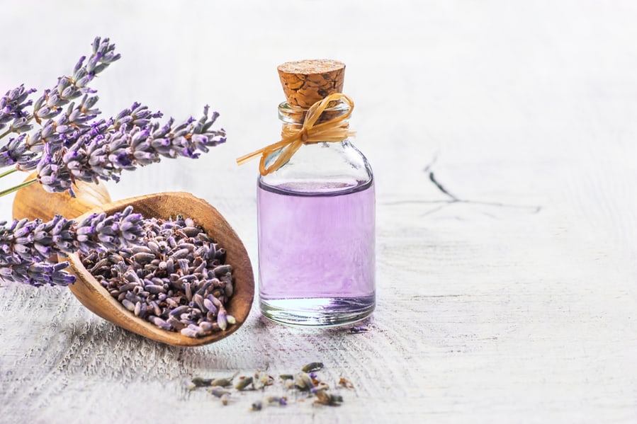 Glass Bottle Of Lavender Essential Oil With Fresh Lavender Flowers And Dried Lavender Seeds