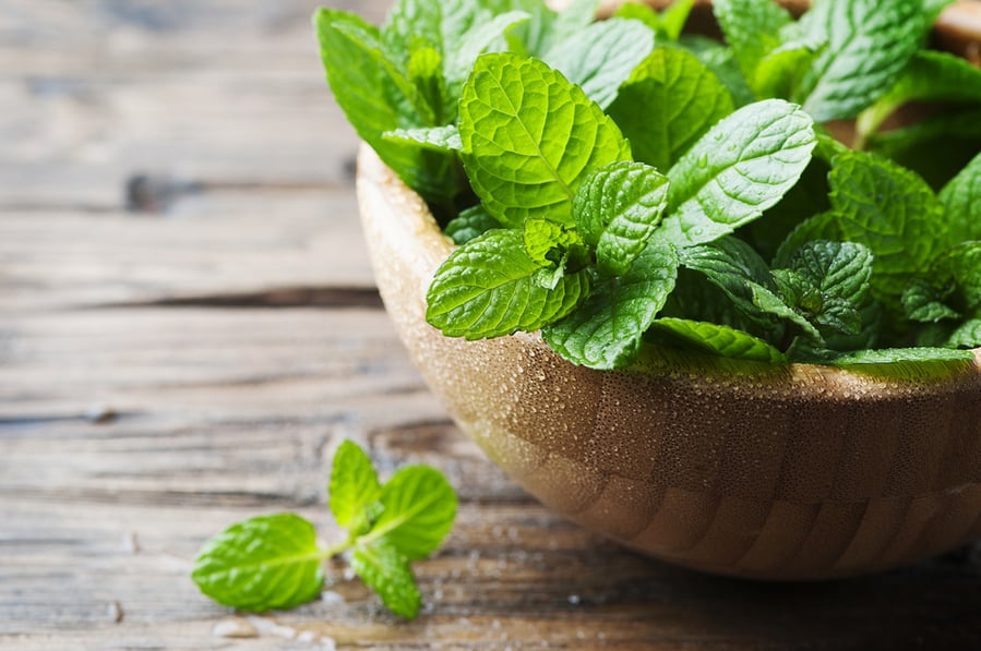 Green Fresh Mint Om The Wooden Table, Selective Focus