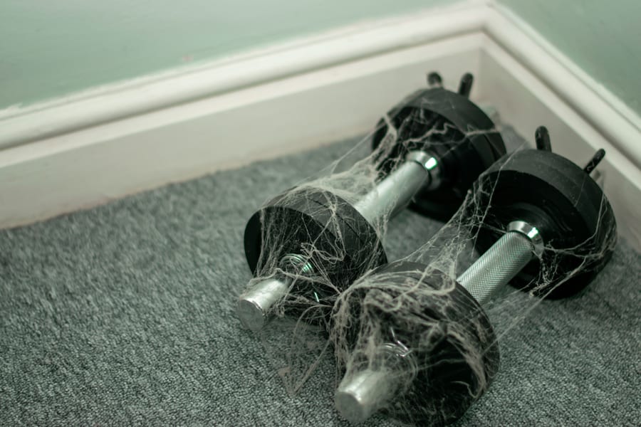 Gym Equipment Covered In Spider Web