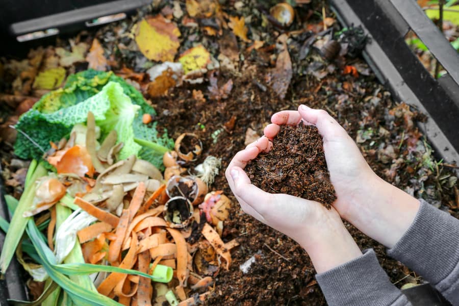 Hand Holding Compost Burying Green