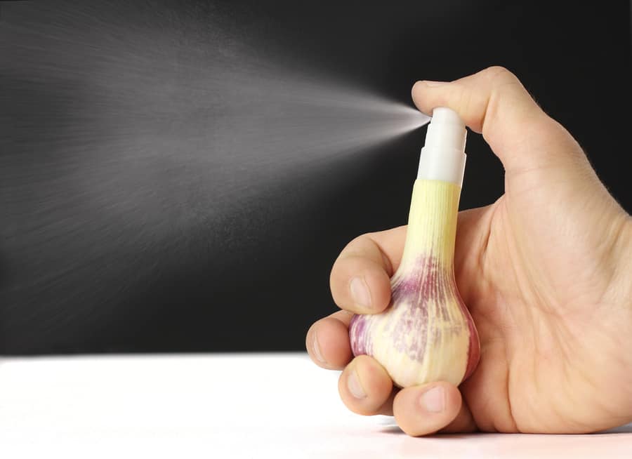 Hand Presses On Fresh Garlic Dispenser