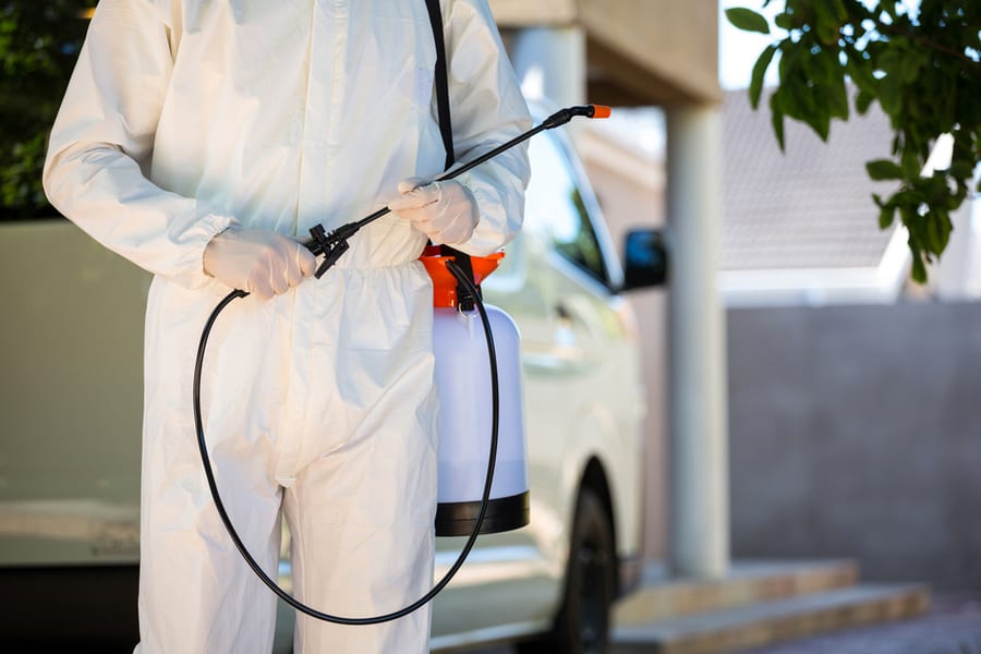 Hire A Professional Pest Control Service