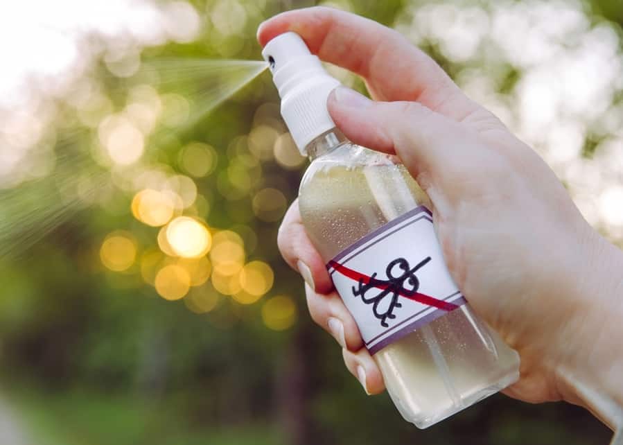 Homemade Spray To Keep Bugs Away