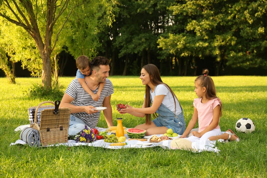 How To Keep Ants Away From Picnic