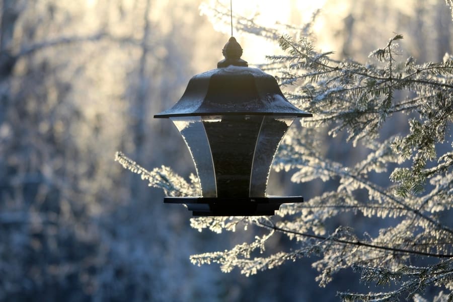 Hummingbird Feeder With Lights