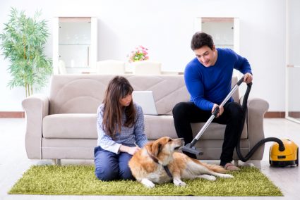 Husband Cleaning House From Dog Fur