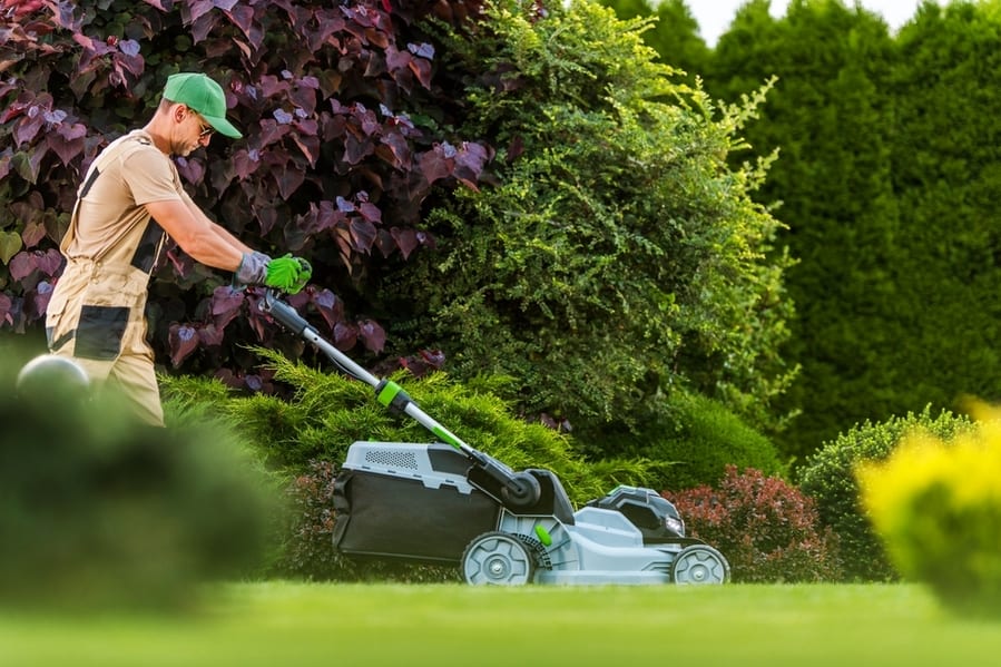 Lawn Mowing