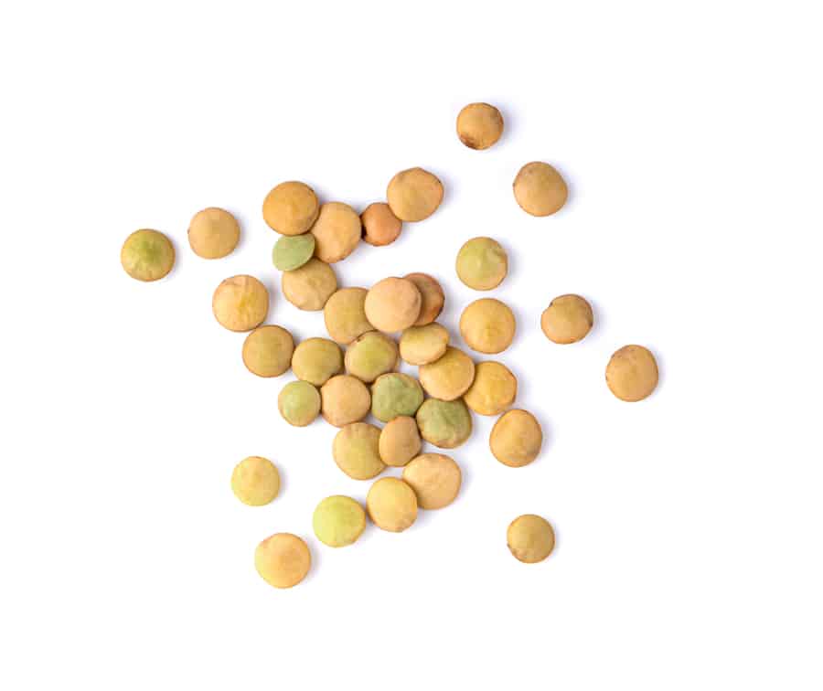 Lentils On Isolated White Background