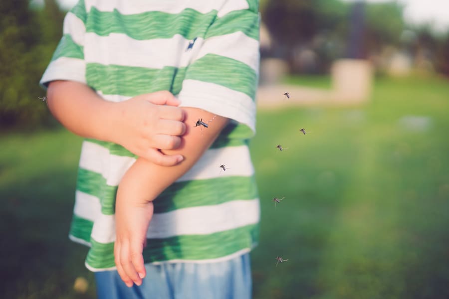 Little Girl Has Allergies With Mosquitoes Bite And Itching Her Arm